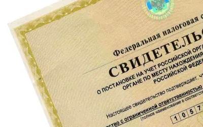 ИНН для компаний и ИП отменят